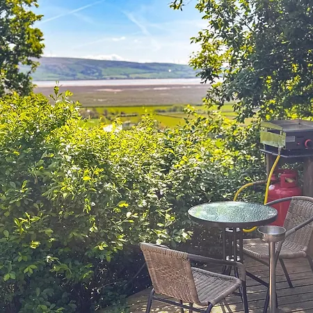 Bats About - Uk45788 *